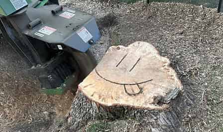  Stump Grinding  image