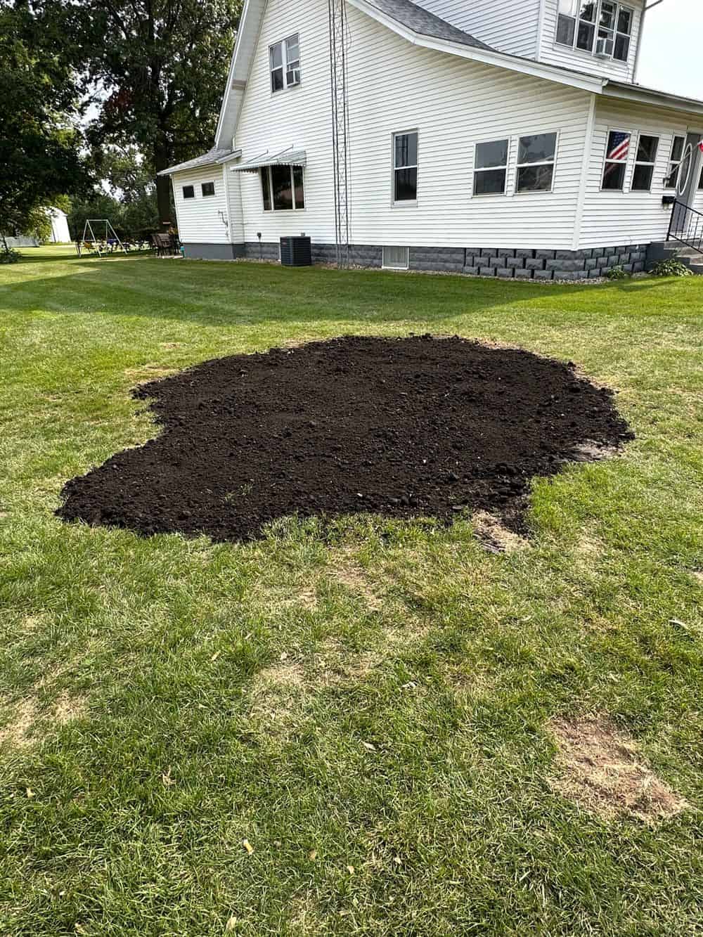 Cleanup & Backfill image