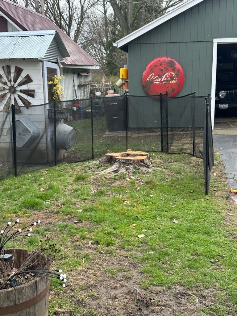 Tree Stump Removal in Farmer City
