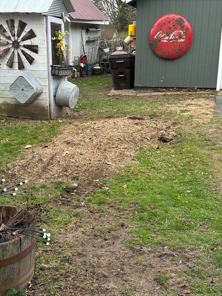 Tree Stump Removal in Farmer City