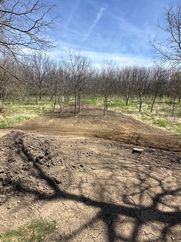 Comprehensive Land Clearing in Mahomet