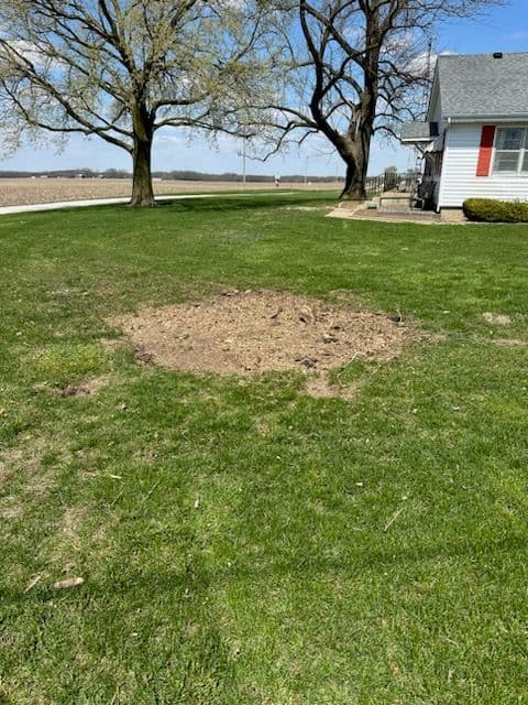 Stump Solution for a Perfect Weldon Lawn
