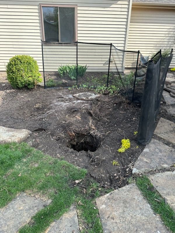Effortless Stump Removal By Shelton Stump Removal