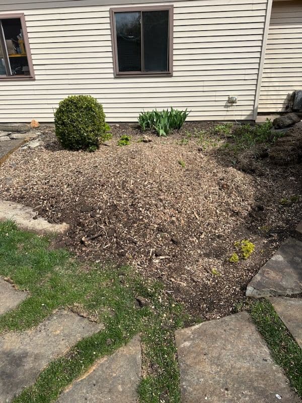Effortless Stump Removal By Shelton Stump Removal