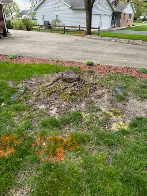 Gibson City Yard Transformation Expertise
