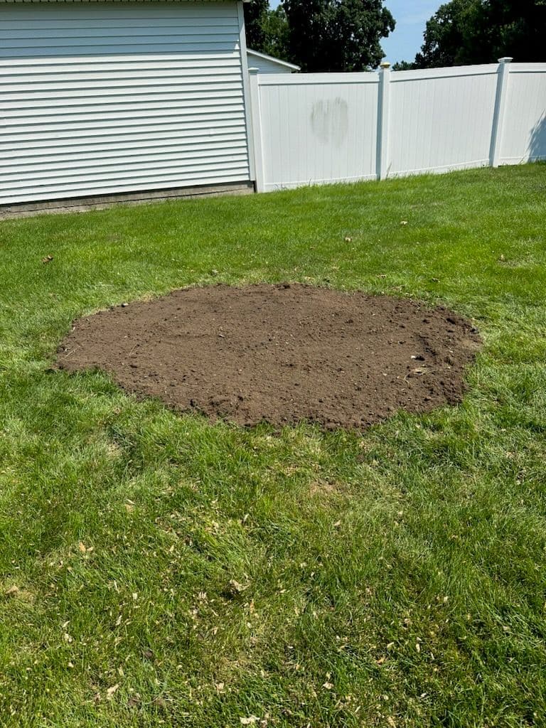 Project Stump-Free Yard Transformation in Leroy image
