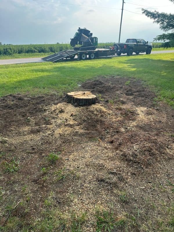 Project Stump Removal Transformation in Mahomet image